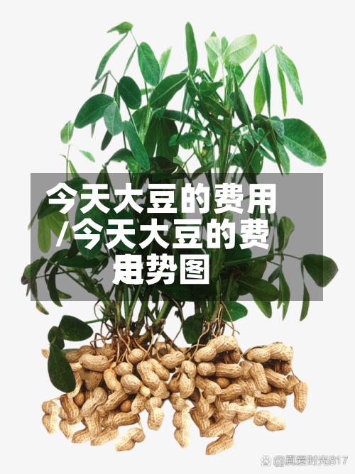 今天大豆的费用/今天大豆的费用走势图-第2张图片