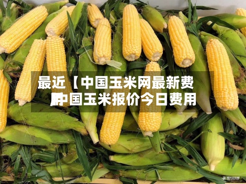 最近【中国玉米网最新费用,中国玉米报价今日费用】-第2张图片