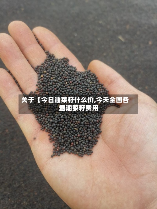 关于【今日油菜籽什么价,今天全国各地油菜籽费用查询】
