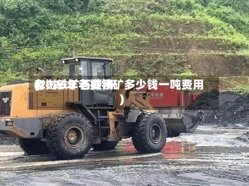 老挝铁矿石费用
(2026年老挝铁矿多少钱一吨费用
)-第2张图片