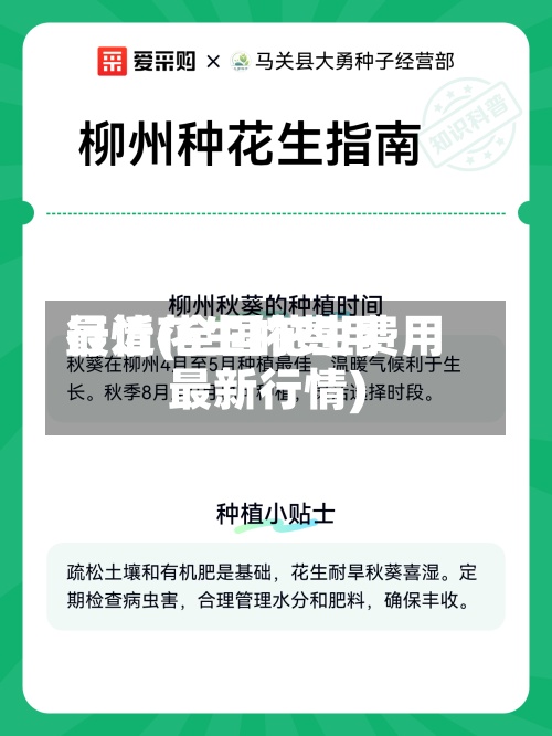 最近花生的费用行情(全国花生费用最新行情)-第3张图片