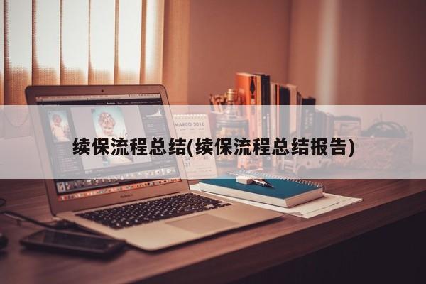 续保流程总结(续保流程总结报告)