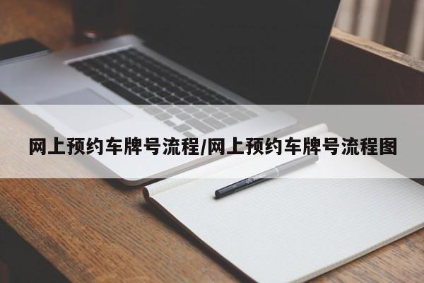 网上预约车牌号流程/网上预约车牌号流程图
