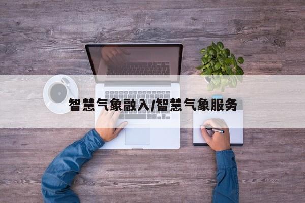智慧气象融入/智慧气象服务