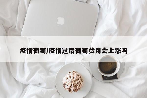 疫情葡萄/疫情过后葡萄费用会上涨吗