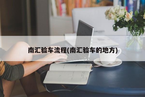 南汇验车流程(南汇验车的地方)