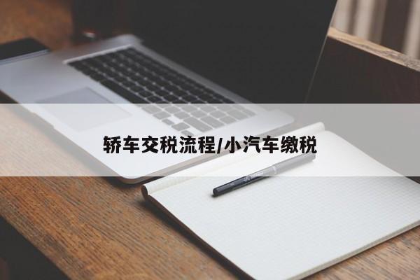 轿车交税流程/小汽车缴税
