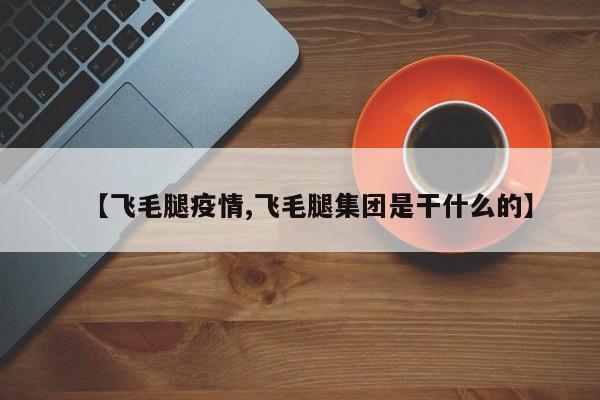 【飞毛腿疫情,飞毛腿集团是干什么的】